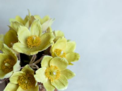 Якутянка создаёт из полимерной глины удивительно реалистичные цветы