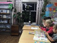 Кокманская библиотека