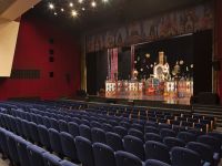 Театр Терезы Дуровой