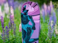 Сноуборд DRAKE MISTY 21/22