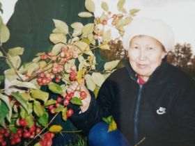 «Ранетки лежали под снегом»: история первого в Якутии яблоневого сада