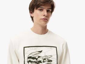 Мужской хлопковый свитшот Lacoste стандартного кроя