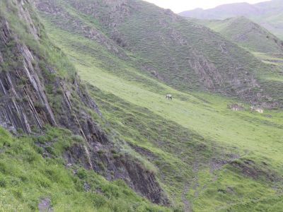 Тухумное кладбище «Махай»