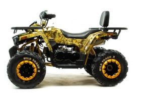 Квадроцикл MOTOLAND 200 Wild Track X Pro (2022)