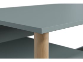 Письменный стол Дикинс 120x60 Серо-зеленый