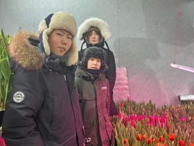 Пять тысяч тюльпанов среди зимы: семья из Горного района создала цветущий оазис