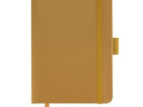 Скетчбук Гамма "Студия" А6 100 л 110 г, золото, твердая обложка, на резинке, белая