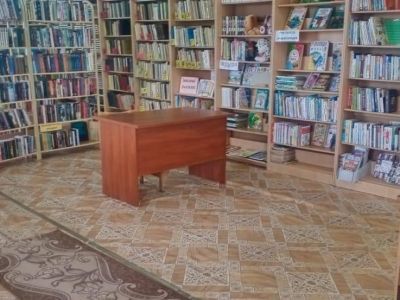 Великодворская библиотека