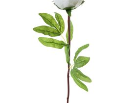 Цветок Fiore, белый