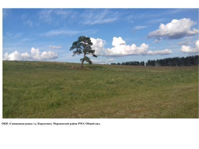 Священная роща