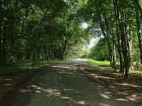 Музей-заповедник Д. И. Менделеева и А. А. Блока. Усадьба Боблово