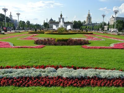 Система цветочных партеров