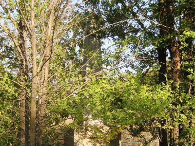 Братская могила красноармейцев Чапаевской дивизии и бойцов 220 Ивано-Вознесенского полка, погибших в борьбе за Советскую власть в 1920 г.