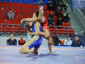 Определены финалисты всероссийского турнира по вольной борьбе Александра Крылова