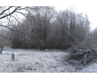 Парк усадьбы «Онег» регулярно-пейзажной планировки (15 га)