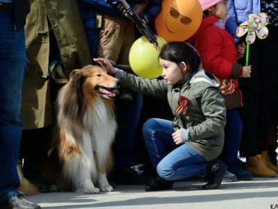 Владельцы ездовых и служебных собак Якутии примут участие в военно-патриотическом шествии