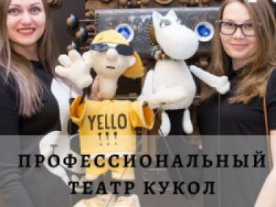 Профессиональный театр кукол