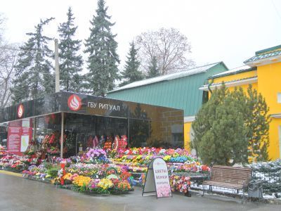 Ворота бокового въезда северного флигеля