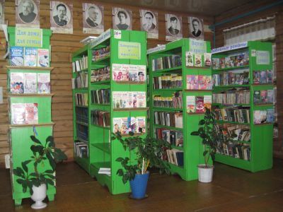 Староустинская сельская библиотека