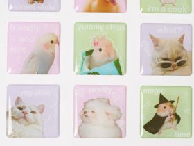 Объёмные наклейки для девочек, 12 шт., Мультицвет