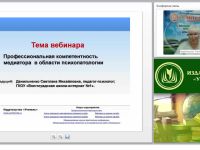 Международный вебинар «Профессиональная компетентность медиатора в области психопатологии»