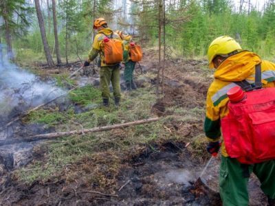 17 июля: сводка по тушению лесного пожара