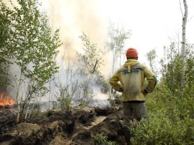 15 июля: сводка по лесному пожару