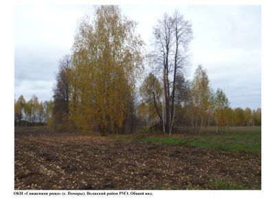 Священная роща