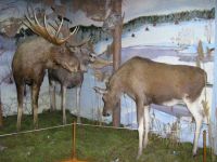 Егорьевский межпоселенческий районный историко-краеведческий музей