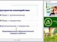 Организация внеурочной деятельности по химии как условие реализации новых образовательных стандартов