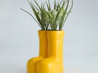 Букет Ренэ/Rene II