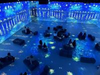 Центр цифрового искусства Artplay Media г. Казани