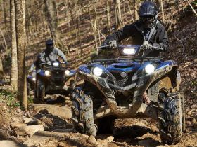 Квадроцикл YAMAHA Grizzly 700 EPS STD (ПСМ)