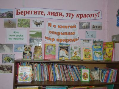 Библиотека-филиал № 9 д. Волонга