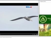 Становление личности человека и традиций православной культуры