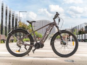 Электровелосипед Alpine Bike Dammastock, год 2025, цвет Коричневый, ростовка 18