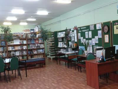 Брынская сельская модельная библиотека