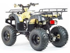 Квадроцикл STALKER 250