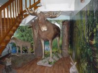 Кологривский краеведческий музей