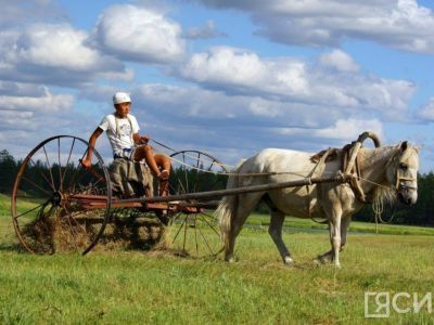 Предварительный прогноз заготовки сена в Якутии составил 408 тысяч тонн