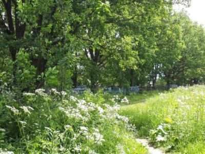 Парк пейзажной планировки