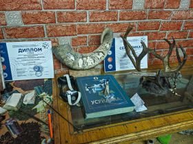 «Discovery of Arctic Yakutia»