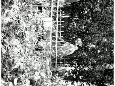 Братская могила