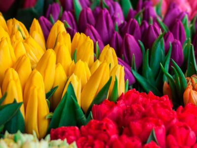 Как выбрать цветы