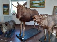 Яйвинский краеведческий музей