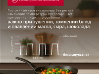 Индукционная варочная панель Hansa PRO CHEF BHI68810