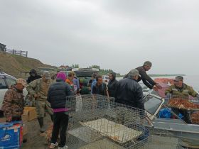 Жителям Томпонского района Якутии доставили кур-несушек