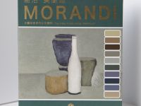 Набор акварели традиционной китайской Super Vision "Giorgio Morandi" 10 цв*8 мл туба, картон + цвето