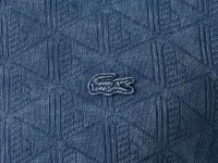 Мужская хлопковая футболка Lacoste REGULAR FIT