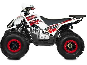 Квадроцикл SHARMAX Cross 180